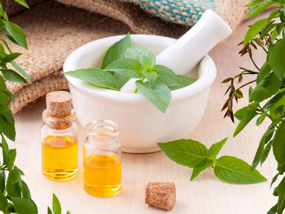 La Bendita Medicina Natural